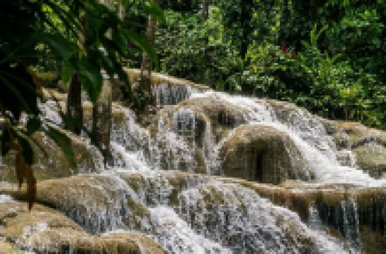 Entire Home in Discovery Bay, St. Ann Hoteles en Discovery Bay