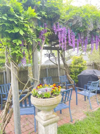 Newport’s garden house near beach . Convenient Отели рядом с достопримечательностью «Публичная библиотека Мидлтаун»