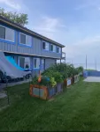 ~The UpSiDe DoWN PaRRoT~Swim Fish Relax ON LakeHURON! ~Killarney Beach *Bay City