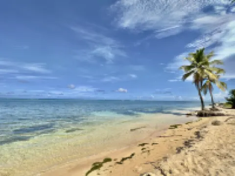 Beach Vibes: Pool w. Waterfall, Beach by El Yunque
