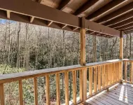 Cozy Cabin in the Blue Ridge Mountains