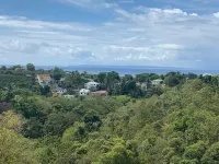 Logement "bambou" 2 à 6 Pers