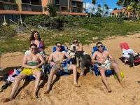 PARADISE IN PALMAS! OCEAN FRONT! SLEEPS up to 6 GUESTS! GORGEOUS! - Apartments