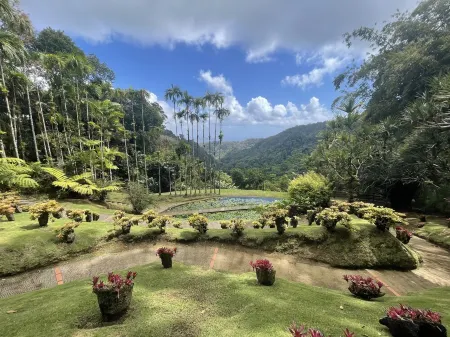 New villa with swimming pool, magnificent view of the caribbean sea, 1 'from the beach Отели в г. Лез Анс-д'Арле