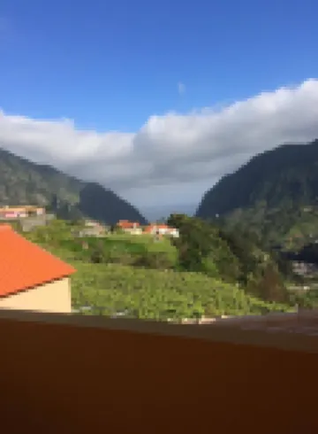 Yellow Attic S. Vincent