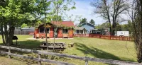 Cabin near ORV trails, lake St. Helen, Houghton Lake and golfing!
