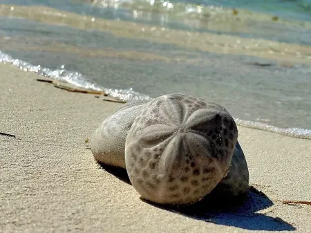 Fernhills Hideaway - Marsh Harbour