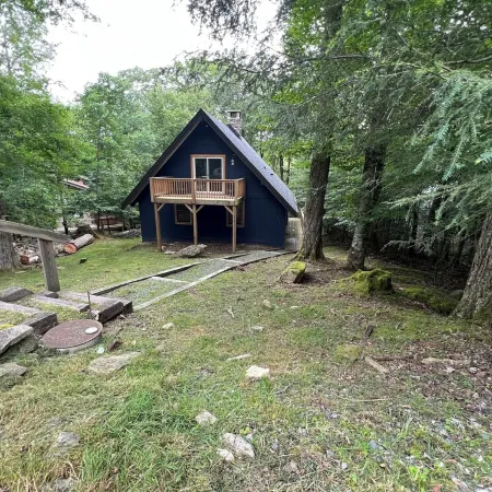 Abundant Acres Retreat 5 minutes from first chair on Beech Mountain, sleeps 9