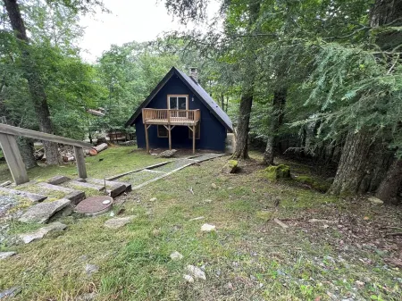 Abundant Acres Retreat 5 minutes from first chair on Beech Mountain, sleeps 9