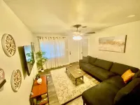 Texas Size Backyard Comfy For Your Family