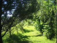 Casa Da Ramada - Ponte De Lima Hotels in Palace of Calheiros