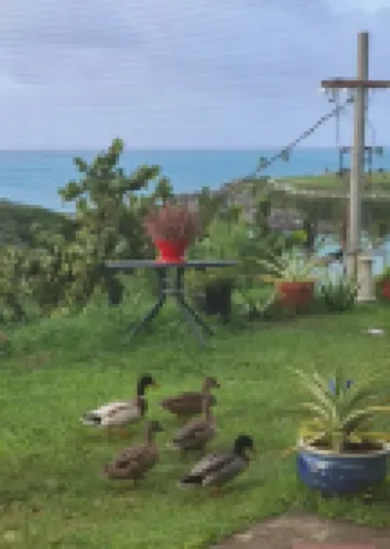 Spacious Beachfront and Private Resort living