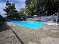 Falcon Nest Motel Hotels in Duncan