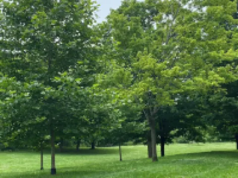 World Cup! Entire Home! Book Now! Dates Available! 10 Mins from Toronto Stadium!