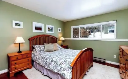 Ski-in/Out Birds Eye View Fireplace Dogok King Bed