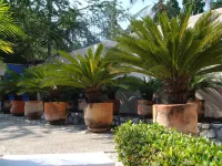 Your Own Paradise Overlooking Acapulco Bay Hotels near The Grand Mayan Lazy River at Vidanta Acapulco