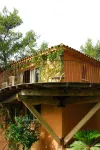 Superb Florida villa in the heart of the Alpilles