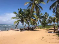 Exclusive house with private cook!