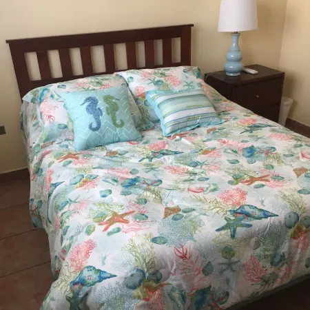 “Casa Isabel II” great location guesthouse