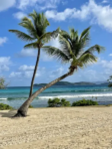 Captivating Water View with sounds of the sea just a few feet away - Bldg D-209