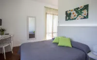 Fiori del Conero