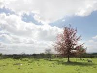 Stone Cross