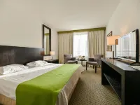 Hotel International ラブのホテル