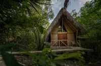 Selva Teenek Hotels in Ciudad Valles