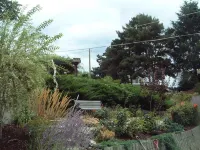 Above the Beach Guest Suites - en bord de mer