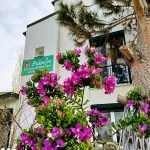PALMIYE PANSIYON Hotels in der Nähe von Karaburun Bodrum Beach