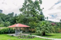 ダウンタウン・スイーツ のホテル