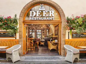 布拉格鐵門套房酒店