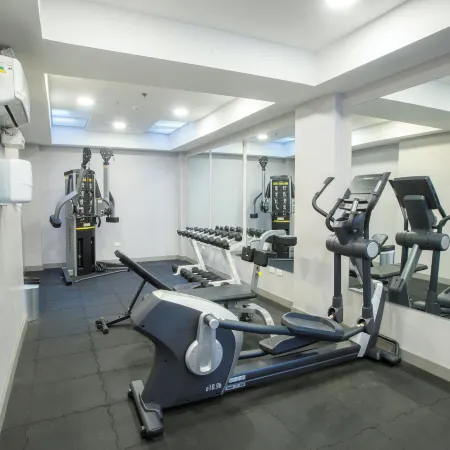 Ibis Quito