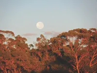 田納西州山小屋