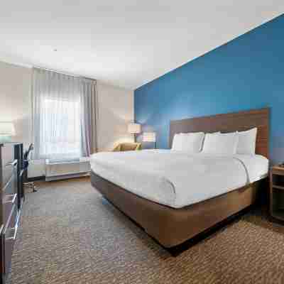 La Quinta Inn & Suites by Wyndham Sulphur (Lake Charles) Rooms