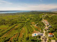 Villa Suton ZadarVillas - Homestays