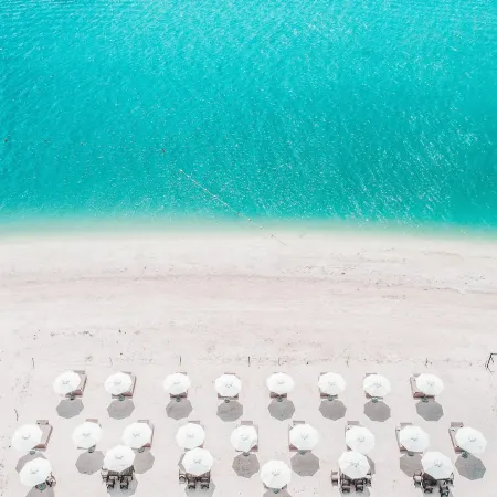 Delek Holbox
