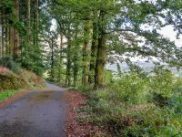 Forest Park Lodge Hotels in Umberleigh