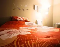 The Cozy Little Home