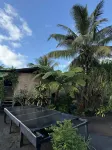 Jungle Oasis Bungalow Hôtels à : Tanna