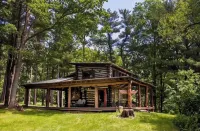 Secluded Finger Lakes Cabin Near Watkins Glen. Views,  Private Trails, Firepit