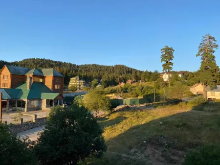 Cozy Apartment 201A • BMIX • Отели рядом с достопримечательностью «Starting point. Trail to Tsaghveri»