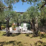 THE OLIVE TREES GARDEN HOUSE Hotels in Seravezza