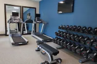Hilton Garden Inn Tampa - Wesley Chapel - Gym