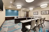 Embassy Suites by Hilton Atlanta NE - Gwinnett Sugarloaf - Parkering