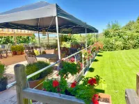 Vacation in nature only 2 km from the Rhine