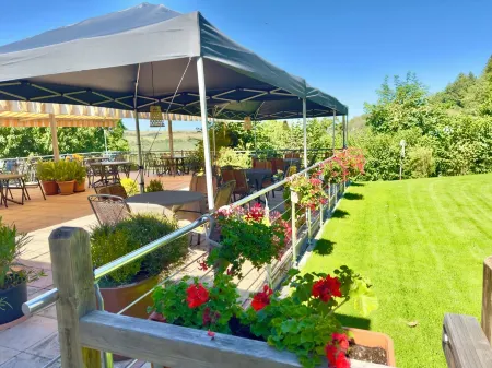 Vacation in nature only 2 km from the Rhine