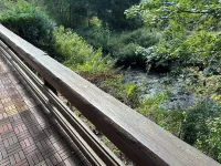 Forellengrund Schierke- Bodegrund