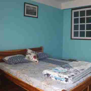 Sparrow Nest Homestay: Where Comfort Takes Flight and Hospitality Sings Rooms