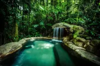 Serene bird watching paradise!